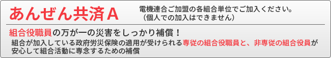 あんぜん共済A