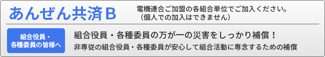 あんぜん共済B
